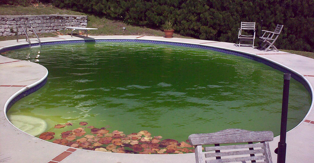 Green Pool?